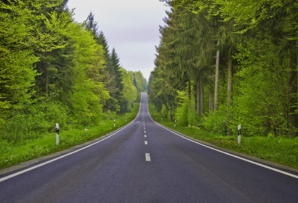 GDOT Wins The ‘National Pollinator Roadside Management Award’