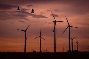 Investments Rise & Costs Falls In The Renewable Sector