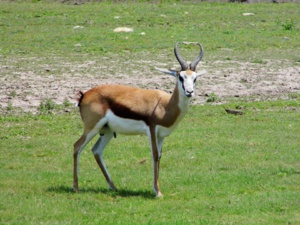 Kansas State Parks Offer ‘Free Admission’ To Celebrate ‘Healthy Trails Adventure Day’ Kansas State Parks Offer ‘Free Admission’ To Celebrate ‘Healthy Trails Adventure Day’