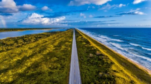 Keep America Beautiful & Its Partners Restores Native Species Along The Palma Sola Scenic Highway Of Florida