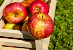 Pyxera Global Addresses The Global Issue Of ‘Post-Harvest Loss’ Of Agricultural Produce