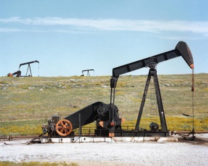 Sitting Beneath Heavy Machineries, Plant Nappy Prevents Oil Contaminants To Pollute The Ground