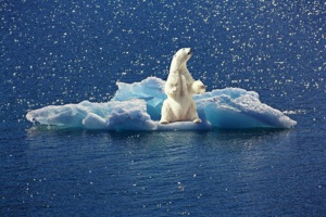 Ethical Performance Released New White Paper On Corporate Benefits Of Supporting Climate Agenda