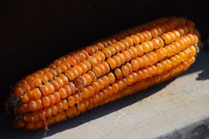 Globally Available Local Crops Are A Strength Of An United World Globally Available Local Crops Are A Strength Of An United World