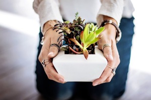 TD Bank Group Is Close To Reaching The Goal Of Planting ‘300,000’ Tress
