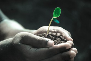 NZ Super Fund Turns Its ‘$14 Billion Global Passive Equity Portfolio’ To Low Carbon