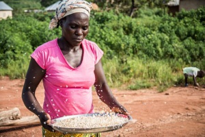 Nigerian Businesses Take Steps Towards Including CSR Into Their Agenda