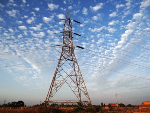 Educating On How To Retain Aesthesis & Protect Natural Landscape Without Compromising On Utilitarian Control Over Vegetation Growth For Safe Powerline Transmission