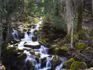 Duke Energy Supports Water Stewards Protecting The Waterways of Carolina