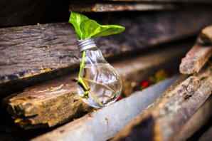 BIER To Build ‘Future Scenarios Toolkit’ To Help Corporate Communities To Plan Their Future Better