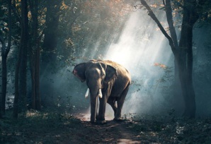 A Journey That Creates Aware Environmental Stewards