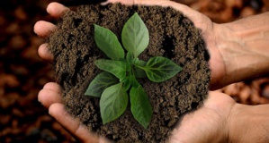 Latest Ethical Corporation Briefing Features ‘Key Strategies’ To Measure ‘Natural Capital’