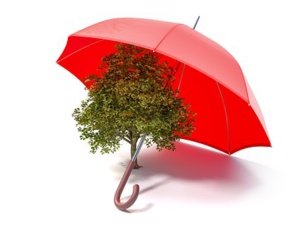 A Mother’s Day Tribute To Mother Nature In Aesthetic Language
