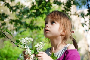 Plant Bullied By Students Began Wilting Within A Month
