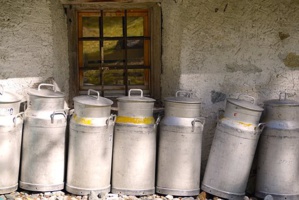Dairy Hub’s Vital Role In Sustainable Food Security