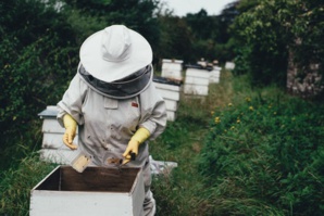 Building Access To Stable Financing Through ‘Honey, Cocoa & Coffee Businesses’ In Mexico