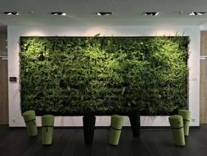 Capturing The ‘Lush Green Landscapes’ In Workspace Design Capturing The ‘Lush Green Landscapes’ In Workspace Design