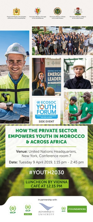 Youth employment in Africa discussed during the UN Youth Forum