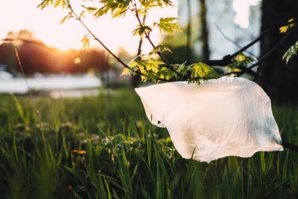 Australia Slashes 80% Of Its Plastic Bags Consumption In Ninety Days