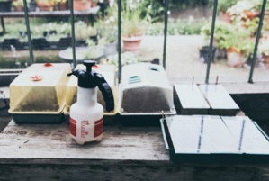 ‘Horticulture and Education Center’ Opens In School For The Blind ‘Horticulture and Education Center’ Opens In School For The Blind