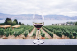 Sustainability Through The Eyes Of The Largest Vineyard Business’ C.E.O In India