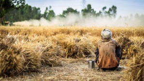 Industries Halted But AB InBev Supported Smallholder Farmers Amid COVID-19 Pandemic