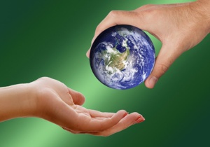 Collaborating To Create Supply Chain Sustainability Standards And Certifications