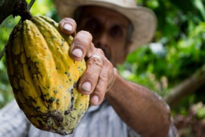 Hershey Is Committed To Drive ‘Cocoa For Good’