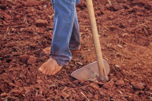 Timberland Receives The First Ever ‘Sustainability Leadership Award’