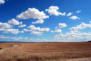 ‘2020 Was A Monumental Year For Land Betterment’