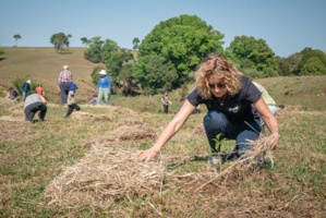 ‘Bring on Spring’ Built On Philanthropic Collaboration