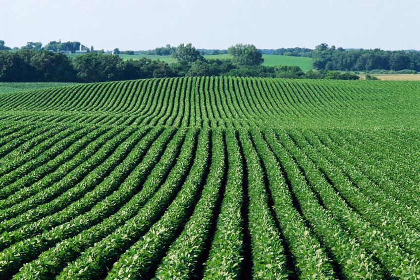 Minnesota’s food agriculture business leaders innovators collaborate to improve soil health practices, improve water, air quality, sequester greenhouse gasses and increase farmland profitability