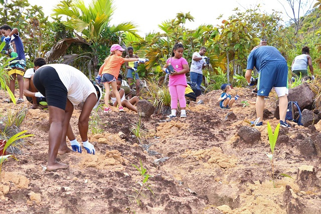 Arbor Day Foundation and J.M. Huber Corporation collaborate on reforestation