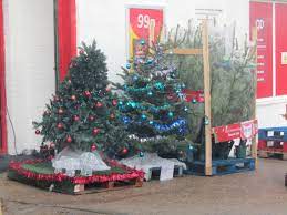 Recycle your Christmas tree at Home Depot