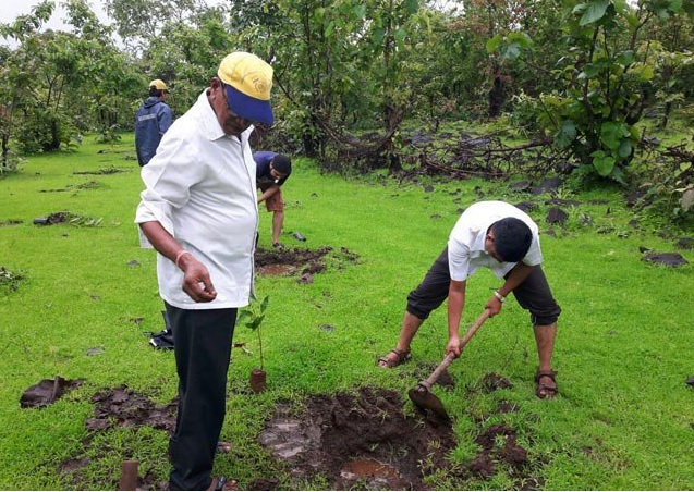 Arbor Day Foundation completes 535 community tree planting projects