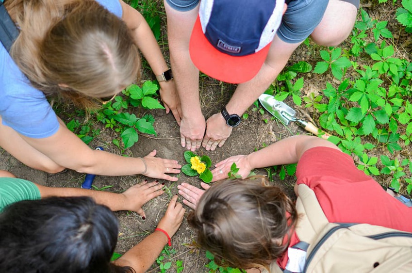 PHLY Renews Partnership with Arbor Day Foundation to Plant 80,000 Trees Annually