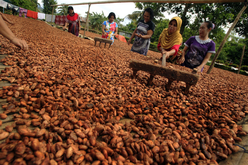 Empowering Cocoa Farmers: Hershey's Income Accelerator for Sustainable Growth and Community Transformation