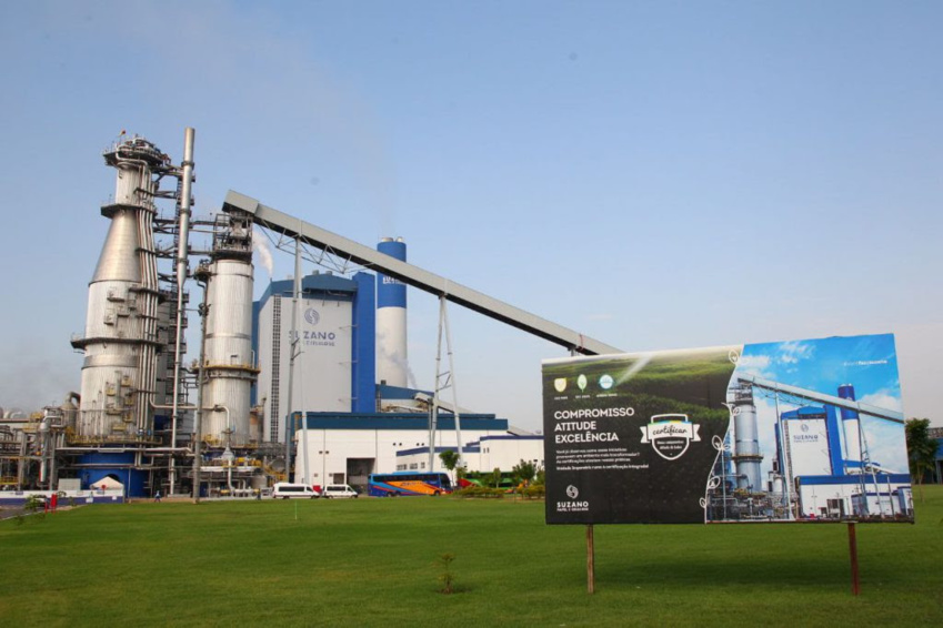 Suzano's Remarkable 2022 Journey: Sustainability Report & Achievements