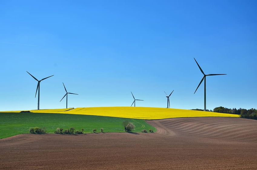 7 Business Strategies for a Nature-Positive Future