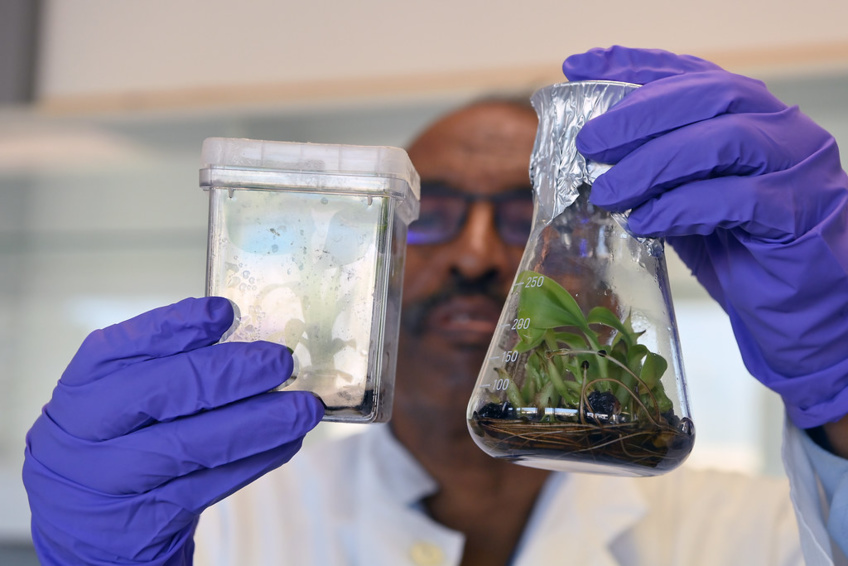 Ensuring Crop Safety: The Role of Regulations and Plant Breeding Technologies Ensuring Crop Safety: The Role of Regulations and Plant Breeding Technologies