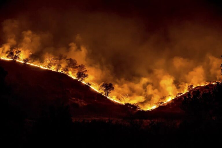 Collin Morikawa, FedEx, and World Central Kitchen: United for Maui Wildfire Relief