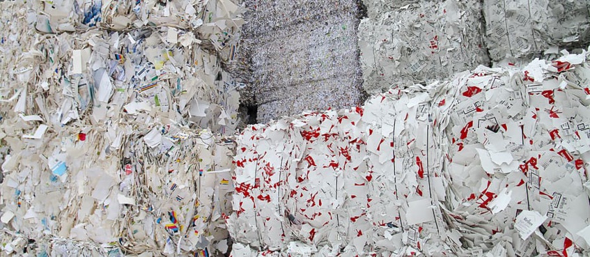 Unraveling the Truth: Virgin vs Recycled Fibers in Paper Products