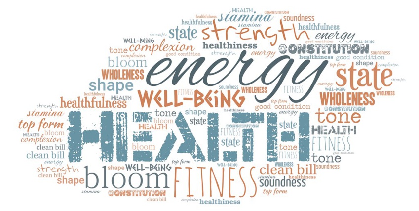 Maximizing Employee Health and Energy Efficiency: An Economic Analysis of WELL Certification Maximizing Employee Health and Energy Efficiency: An Economic Analysis of WELL Certification