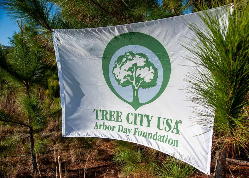 GreenRoots: A Sustainable Thank You for First-Time DR Customers GreenRoots: A Sustainable Thank You for First-Time DR Customers