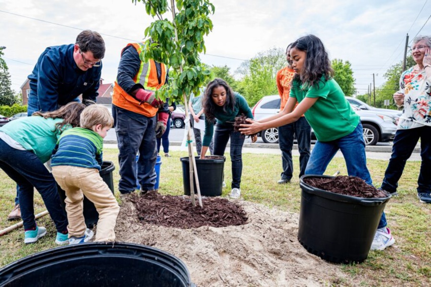 Arbor Day Foundation Enhances Urban Tree-Planting with NatureQuant Data