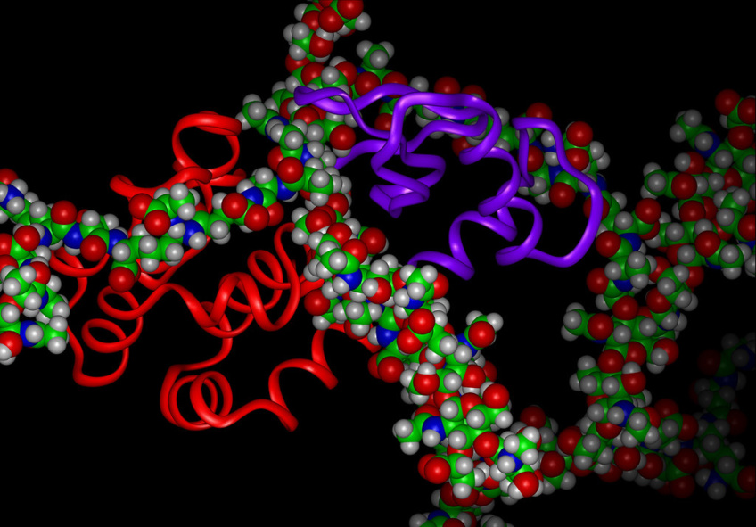 ASAP Consortium: Pioneering Open-Science Antiviral Drug Discovery