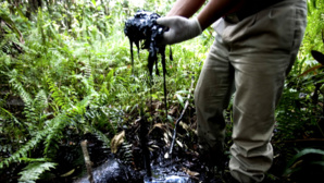 Chevron In Ecuador – The Appeal Chevron In Ecuador – The Appeal