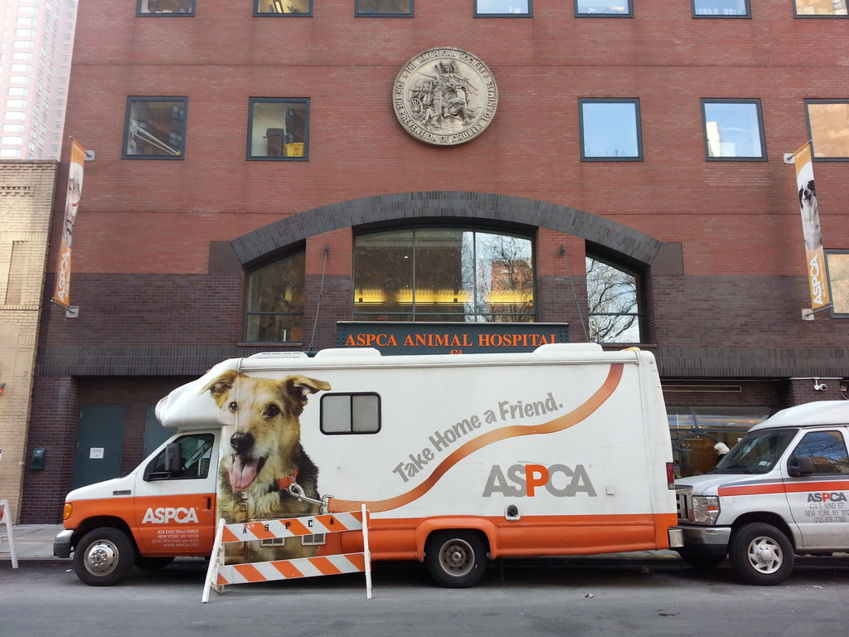 Subaru Share the Love® Event: ASPCA Partnership for Animal Welfare
