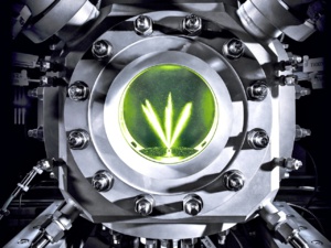 Audi’s Remarkable synthetic Diesel