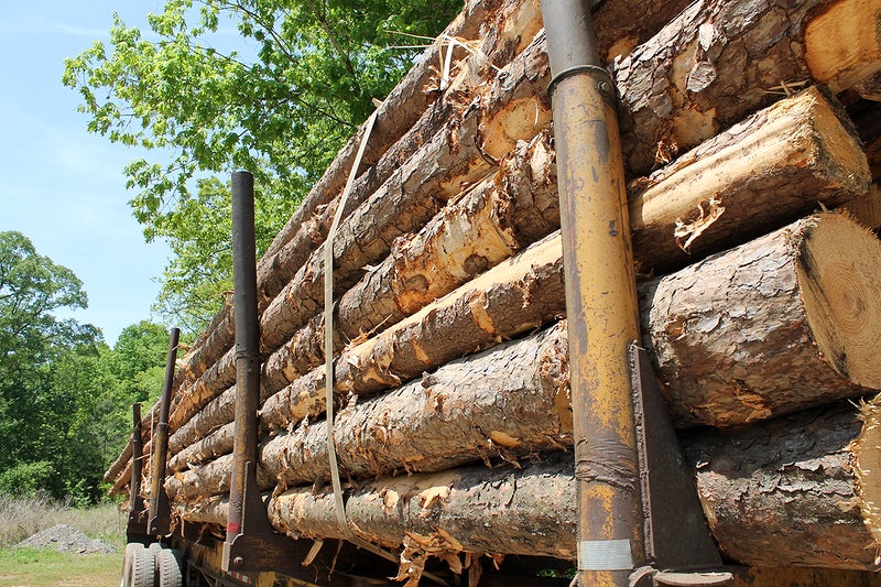 International Sustainable Forestry Coalition (ISFC) Formalizes Presence after COP28 with Global Leadership Appointments for 2024